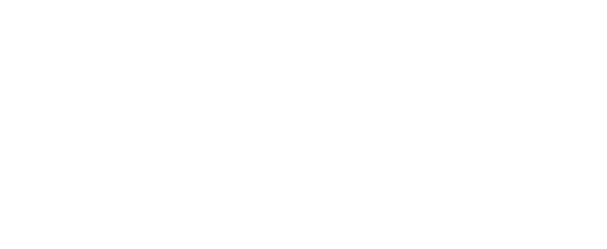 Design Bank 505